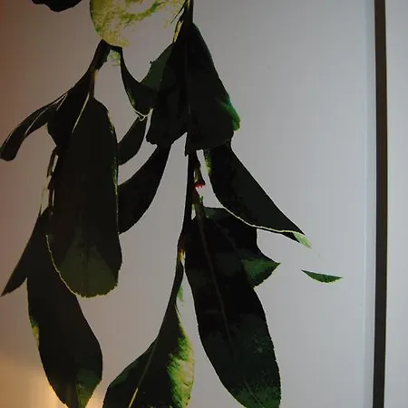 Giannone Nocleg ze śniadaniem Santa Flavia