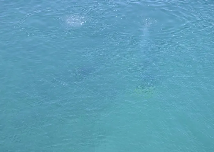 Giannone 4* Santa Flavia