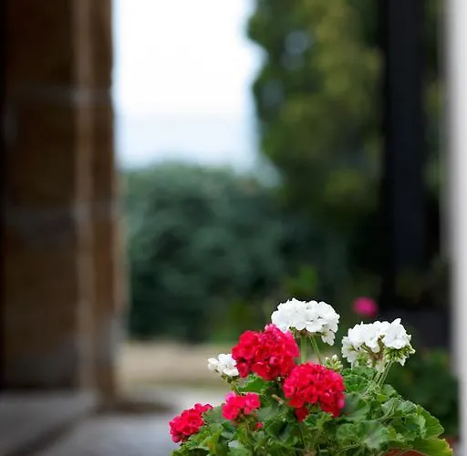 Giannone Frühstückspension Santa Flavia